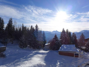 Apartment Barzettes-Vacances B-11 by Interhome Crans-Montana